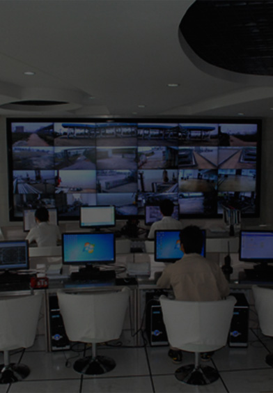 线上理论，线下实操
早学习，早取证，早受益